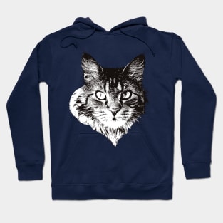 Maine Coon - Maine Coon Christmas Gifts Hoodie